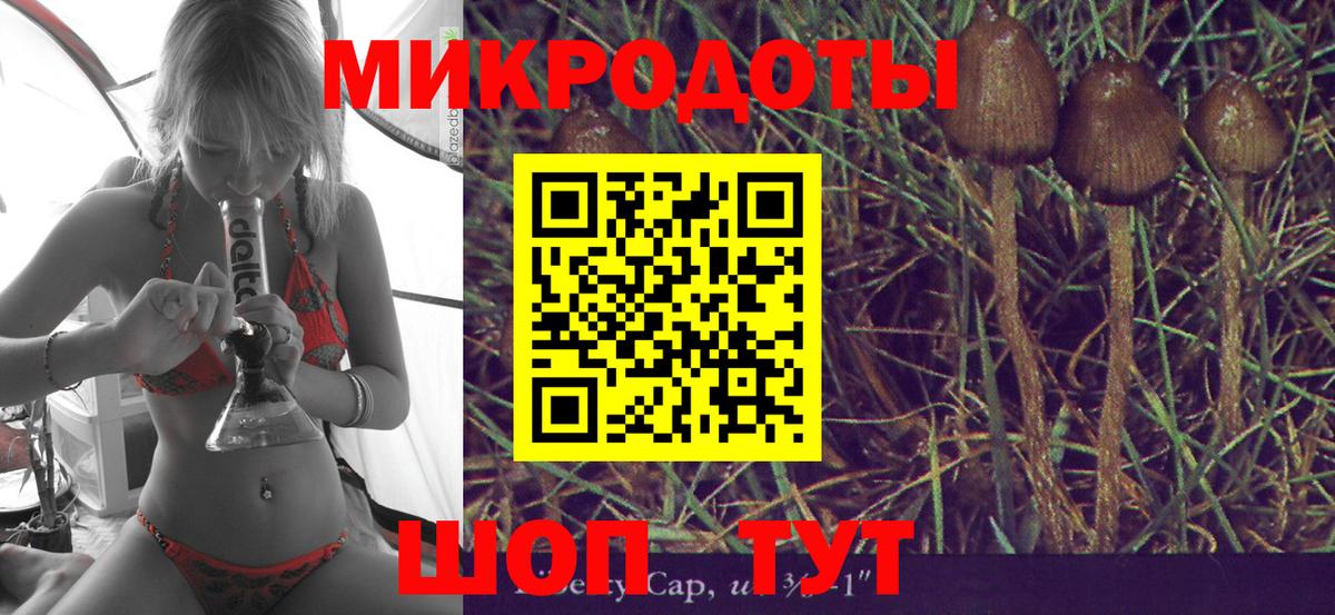 Псилоцибиновые грибы мухоморы Петрозаводск