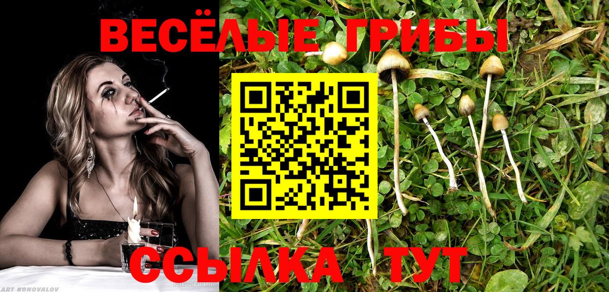 Псилоцибиновые грибы ЛСД  Вход с VPN  Петрозаводск  Галлюциногенные грибы Magic Shrooms 